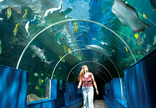 THE BOURNEMOUTH AQUARIUM