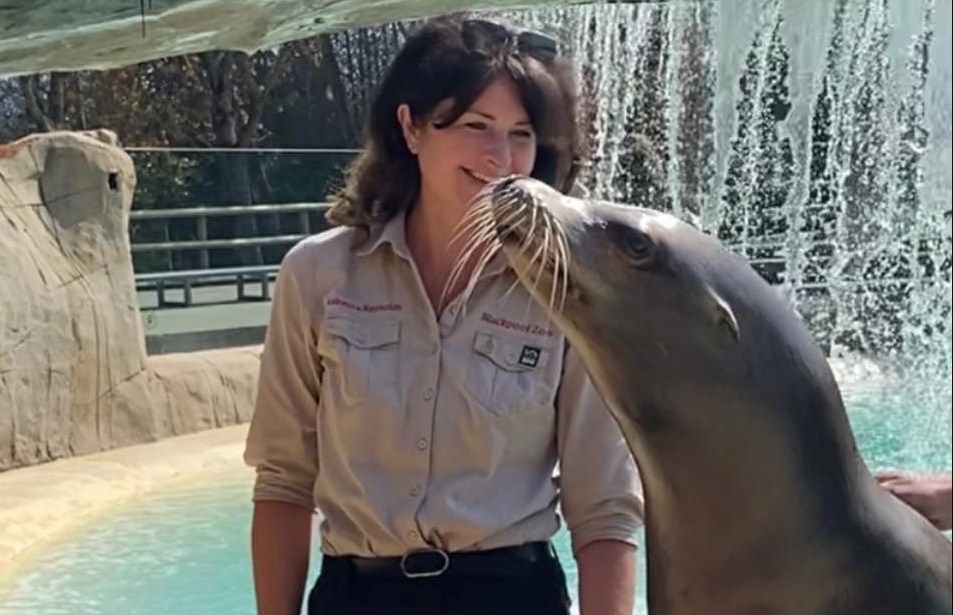 Aprendizaje que deja huella