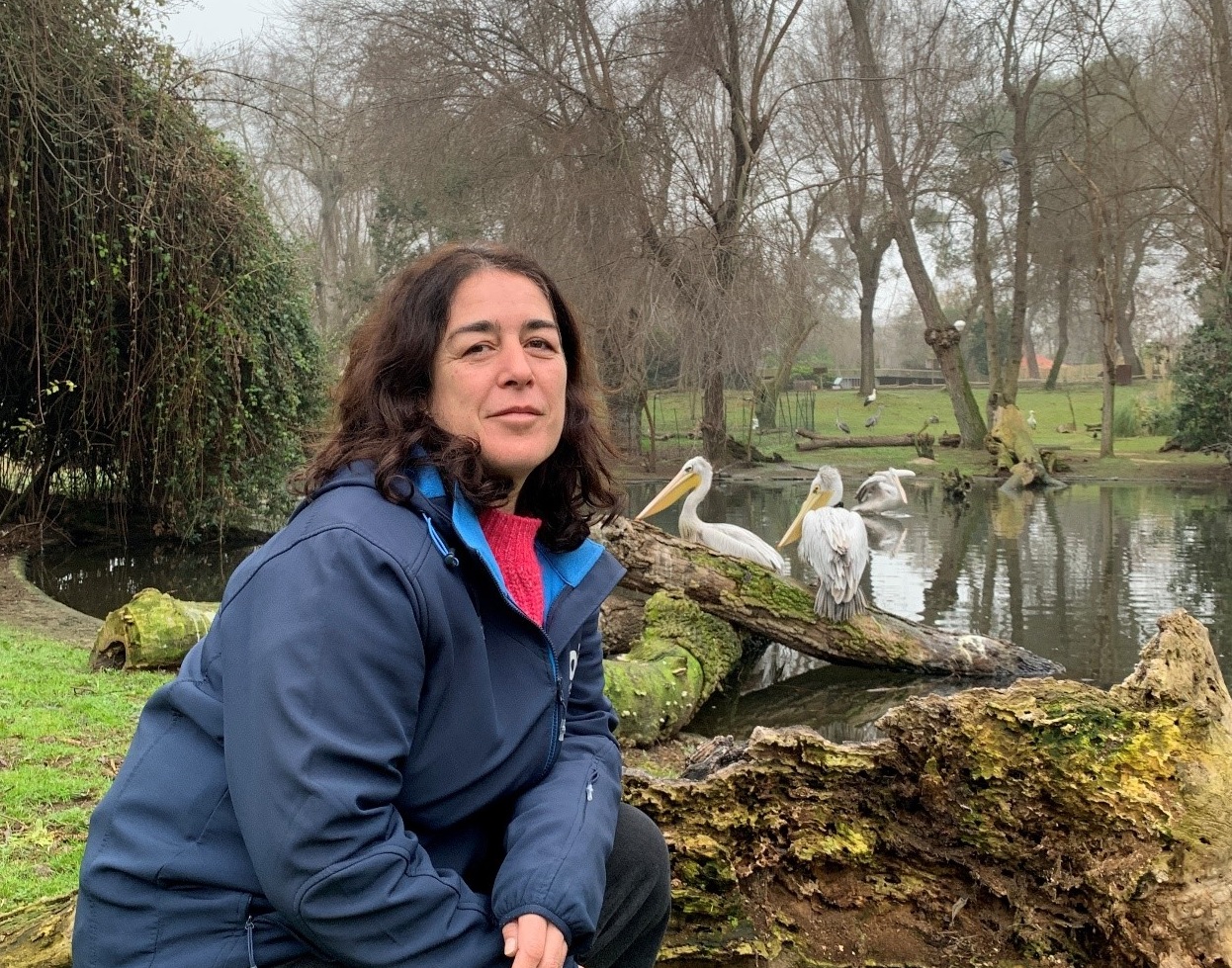 Aprendizaje que deja huella