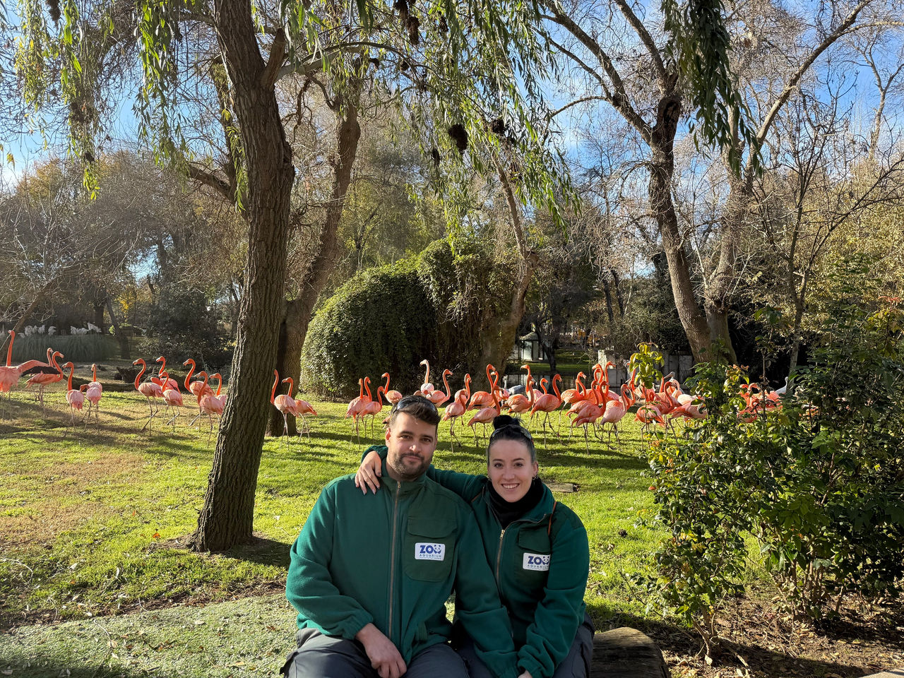 España lidera una investigación revolucionaria sobre bienestar animal