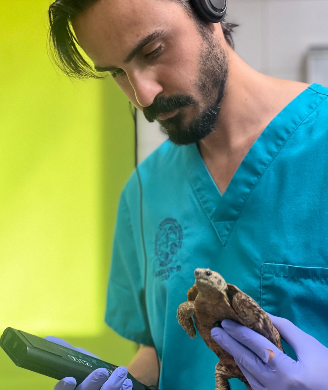 España lidera una investigación revolucionaria sobre bienestar animal