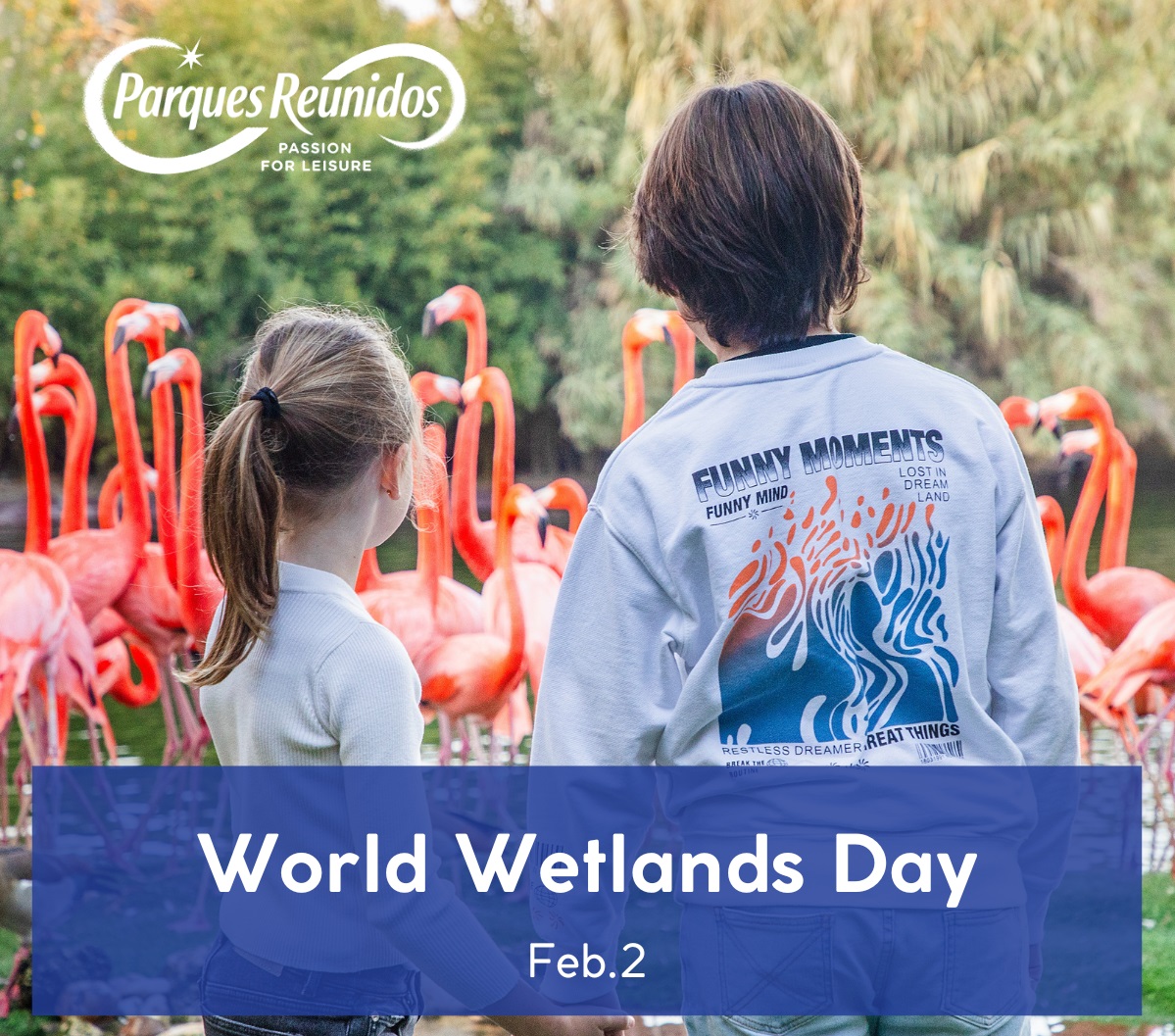 Tropical Islands da la bienvenida a Tiki e Isla